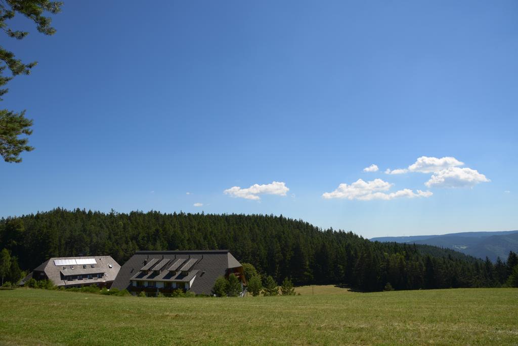 Hotel Schoene Aussicht Hornberg Exterior foto